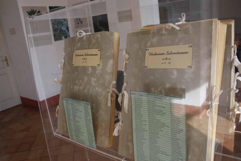 The Plants Classification